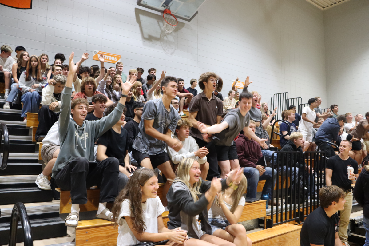 student cheering on gym stands